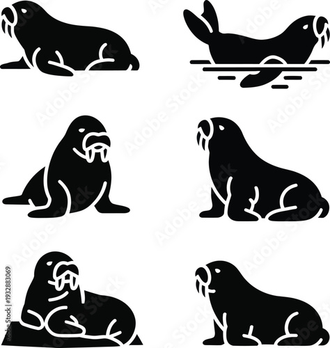 Black and white walrus silhouettes seal