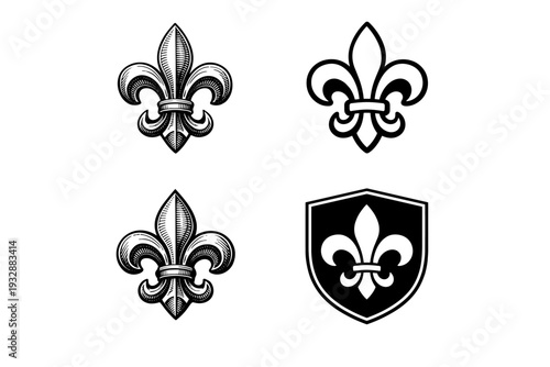 Vintage and modern fleur-de-lis designs in black and white