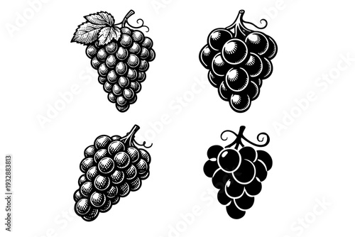 Vintage black and white grape illustrations with intricate design