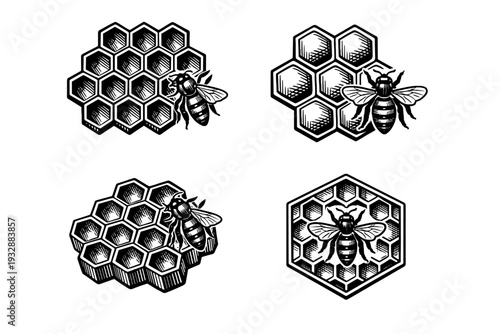 Detailed black and white bee illustrations with honeycomb patterns