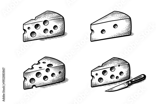 Vintage cheese illustrations: different styles and knife on white back