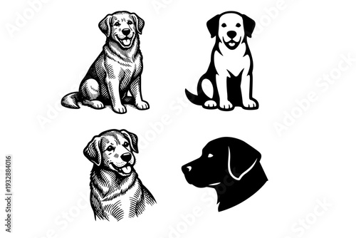 Artistic dog illustrations: smiling canine vector collection
