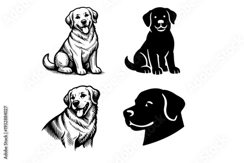Set of four stylized labrador dog illustrations in black and white des