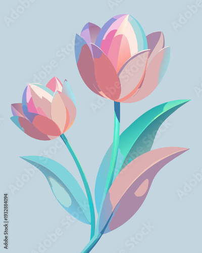 Two translucent pink and teal blooming tulips stand tall against a muted blue gray background with gentle pastel highlights suggesting springtime beauty.