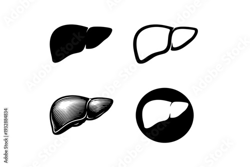 Black and white liver illustrations set: medical iconography in variou
