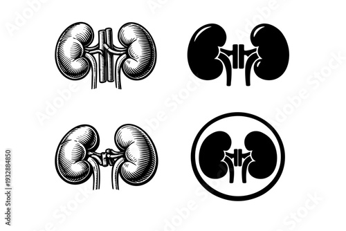 Set of retro and modern kidney illustrations in various styles
