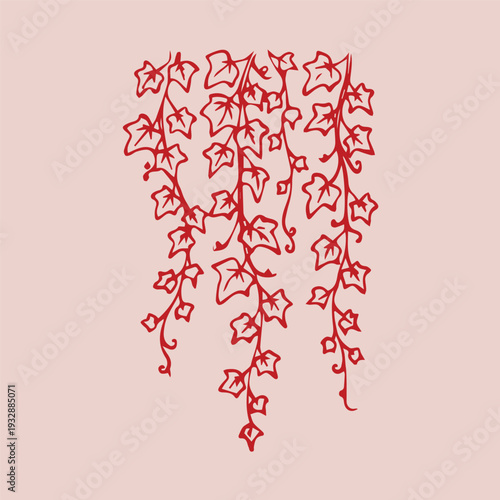 Hand drawn hanging ivy vine in elegant red line art style. Botanical trailing plant illustration for logo, branding, packaging, invitation, greeting card and decorative design.