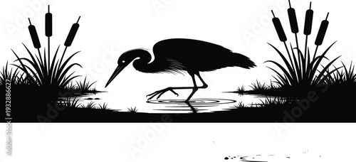 Detailed Black Heron Silhouette Wading in Marsh Water with Cattails and Reeds in Woodcut Engraving Style Illustration Isolated on White Background for Nature Design (25 words)