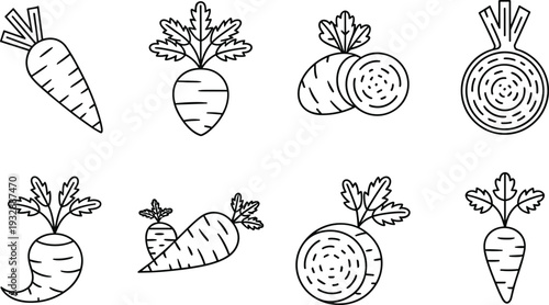 Beetroot and carrot line icon collection with whole, sliced and leafy root vegetables outline vector healthy food set