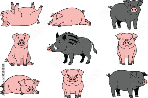 Pig and wild boar collection with different poses farm animal vector illustration set