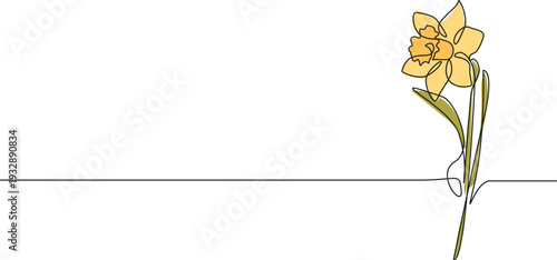 continuous line drawing of single yellow daffodil, narcissus line art vector illustration