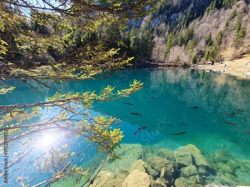 Der Blausee ist trotz seiner geringen Grösse einer der bekanntesten Bergseen der Schweiz. Er ist ein beliebtes Ausflugsziel im Berner Oberland.