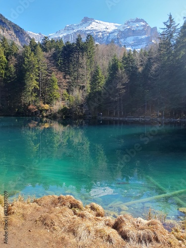 Der Blausee ist trotz seiner geringen Grösse einer der bekanntesten Bergseen der Schweiz. Er ist ein beliebtes Ausflugsziel im Berner Oberland.