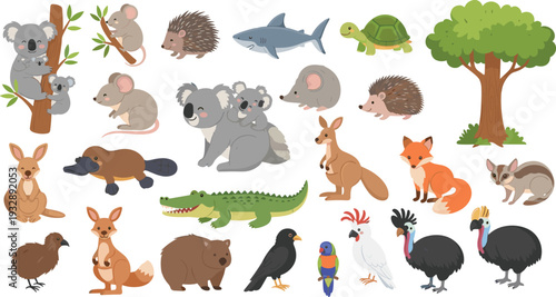 Australian wildlife animals collection with kangaroo koala crocodile cassowary and native fauna vector illustration set