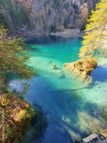 Der Blausee ist trotz seiner geringen Grösse einer der bekanntesten Bergseen der Schweiz. Er ist ein beliebtes Ausflugsziel im Berner Oberland.