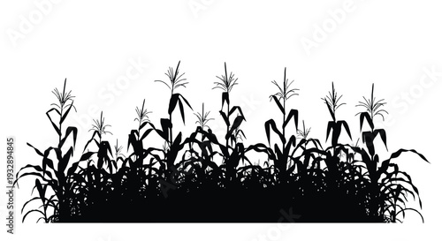 lanu (27) [Converted].eps