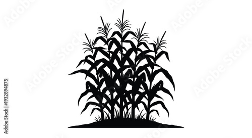 lanu (25) [Converted].eps