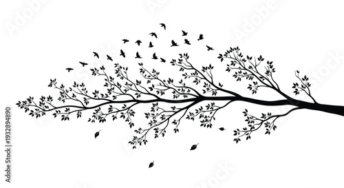 lanu (30) [Converted].eps