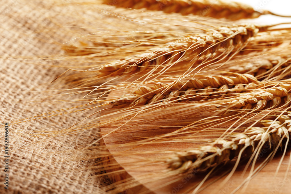 Fototapeta premium Wheat strands on burlap cloth showing details of harvest in a farm setting