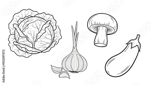 Garden fresh vegetables line art illustrations featuring a whole cabbage a garlic bulb with cloves a mushroom and a long eggplant.