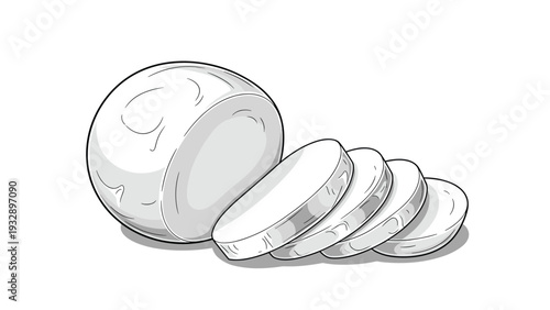 Grayscale illustration of a fresh round ball of mozzarella cheese and several perfectly cut round slices on a white background.