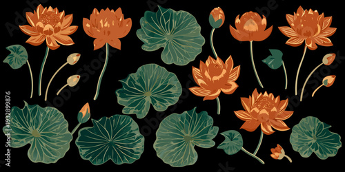 A collection of stylized lotus flowers and lily pads on black