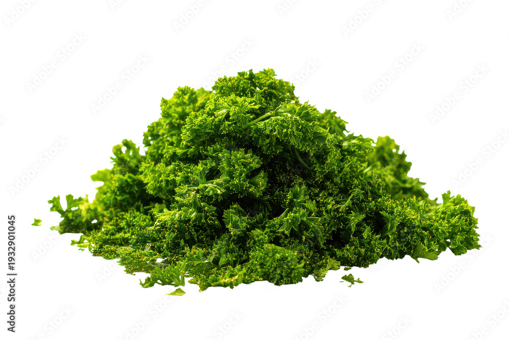 Obraz premium Pile of fresh green herbs isolated on transparent background. Pile of fresh curly parsley isolated on white background.