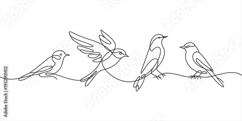 Minimalist continuous line drawing of four birds perched on a single wire on white background. Vector, illustration