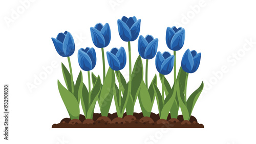 Beautiful row of blue tulips with green leaves growing in dark brown soil, presented as a clean and simple floral illustration on white background.