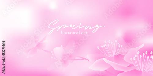 Spring blurred landscape with cherry blossoms, flying petals. Sunny sky, white clouds. Unfocused, bokeh nature background. Macro cherry tree flowers. Monochrome pink natural backdrop.