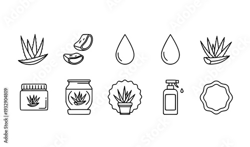 A set of minimalist aloe vera icons and illustrations for skincare design