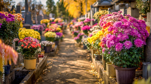 Wallpaper Mural A scenic pathway lined with vibrant colorful flower pots creating a serene and peaceful floral atmosphere on a sunny autumn day outdoors Torontodigital.ca