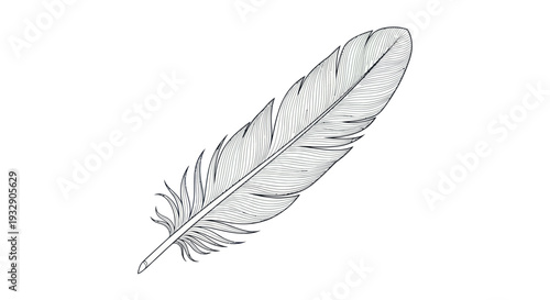 Detailed Black and White Drawing of a Bird Feather on White Background