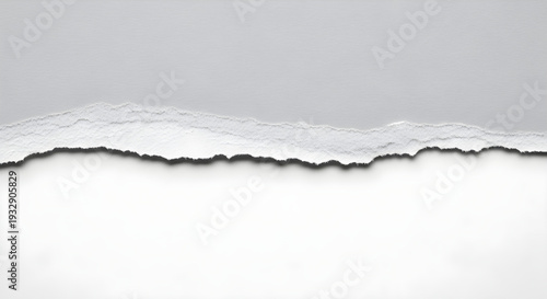 Torn paper edge with rough textured border separating white and gray background layers cleanly