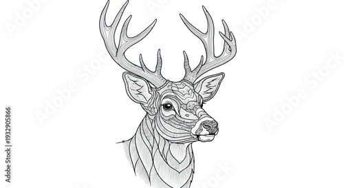 Detailed deer head illustration with intricate patterns, black and white, isolated on white background.