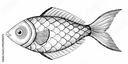 Detailed black and white illustration of a single stylized fish