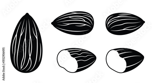 Four almond illustrations in varying views, a striking silhouette