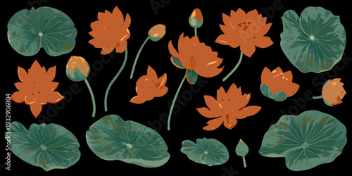 Stylized illustration of orange and teal lotus flowers with leaves