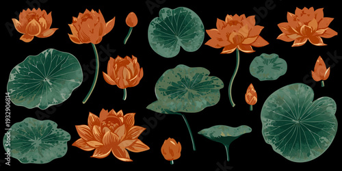 A collection of illustrated lotus flowers and lily pads on black