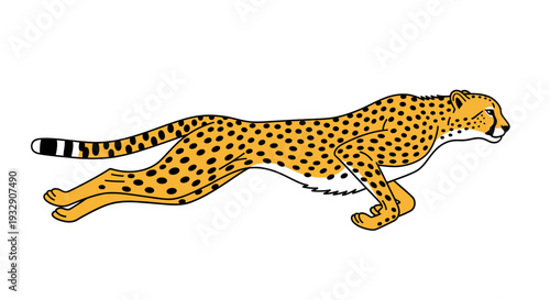 Running cheetah illustration on a white background