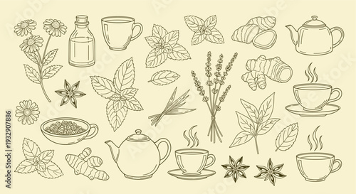 Herbal tea ingredients and brewing elements collection featuring tea pots cups ginger star anise lavender mint and chamomile flowers isolated on a light background