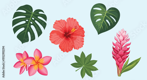 Tropical Flowers and Leaves Illustration.