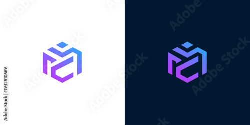 Abstract geometric cube logo in a vibrant gradient of purple and blue, ideal for technology or modern business branding and digital concepts