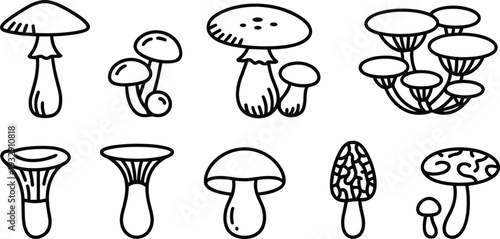 Mushroom line icon set, edible and wild fungi outline vector illustration collection for organic food and nature design