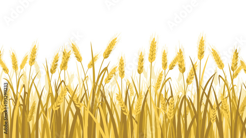 Beautiful field of golden wheat ears under a bright sky symbolizing agriculture, harvest, and natural food production in summer.