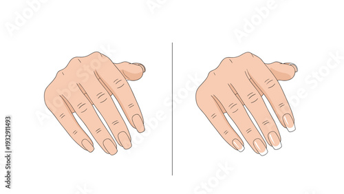 Pair of hands with beautifully manicured nails showing different nail shapes and lengths for beauty and salon services.