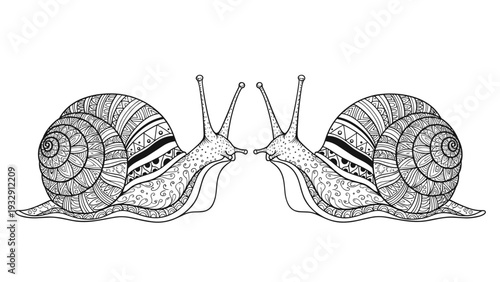 Two mirrored snail shells with intricate geometric patterns for coloring books, therapy art, and nature-inspired decorations.