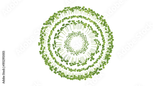 Artistic circular arrangement of green plant sprouts and microgreens on a white background representing growth, nature, and organic cycles.