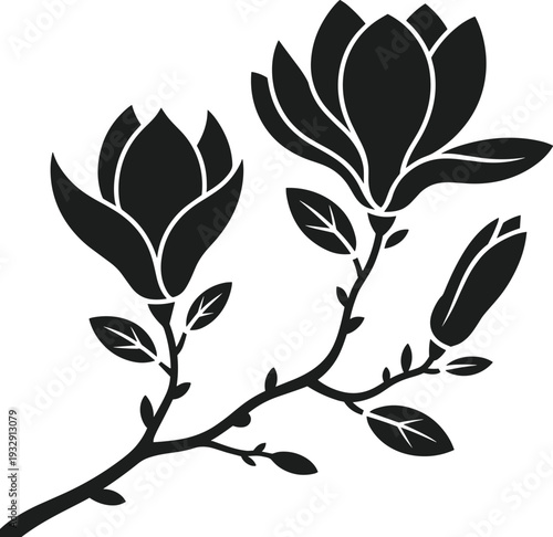 Blooming magnolia branch silhouette vector with buds and leaves flower