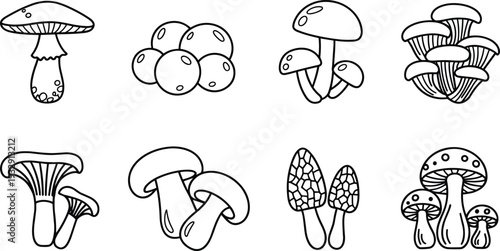 Mushroom line icon set, edible wild forest fungi outline vector illustration collection for organic food and nature design